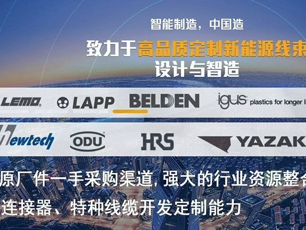 定制新能源线束：精心挑选端子与线材，打造卓越电气性能