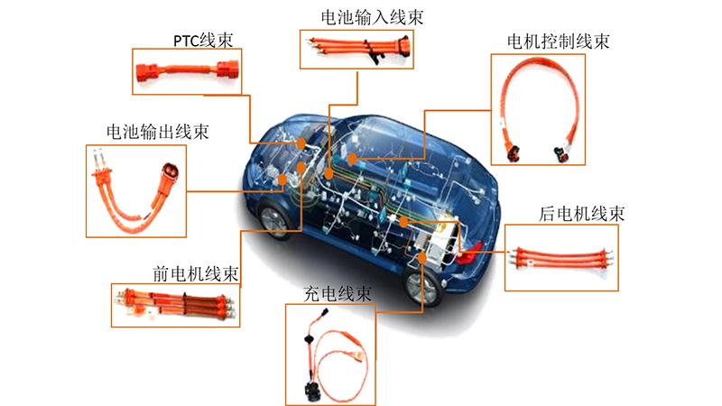 汽车中的的线束